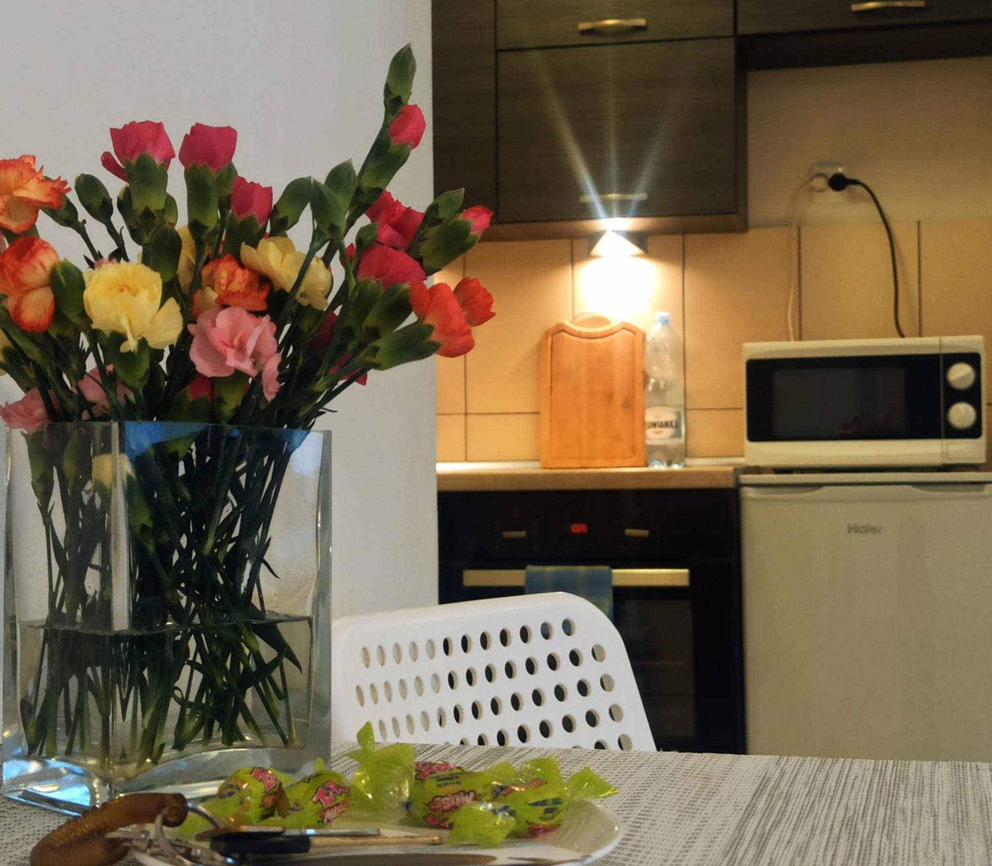 Apartamenty Spodek Катовице Экстерьер фото